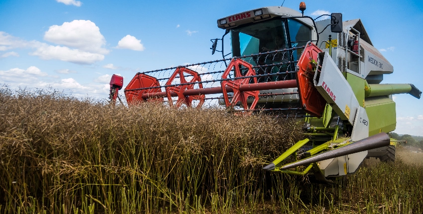 LIVESTOCK AND AGRICULTURE
